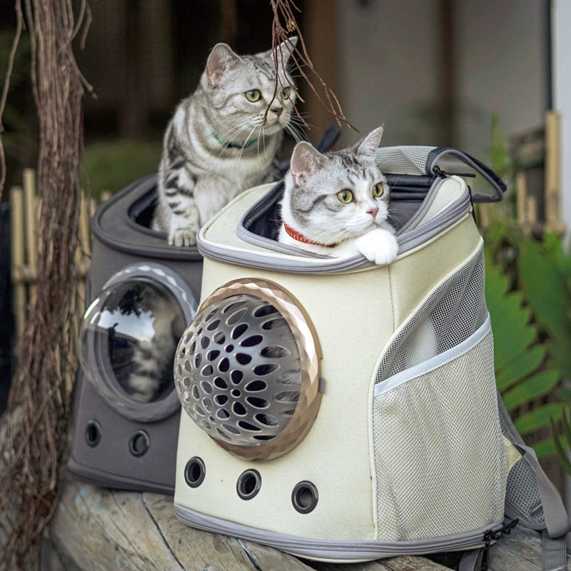 Mochila grande para cães/gatos.